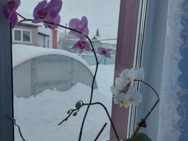 В начале новой рабочей недели под влиянием атмосферных фронтов в республике немного похолодает