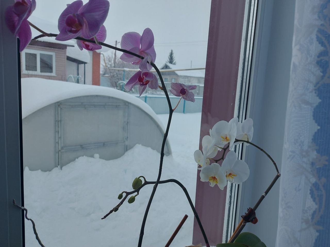 В начале новой рабочей недели под влиянием атмосферных фронтов в республике немного похолодает