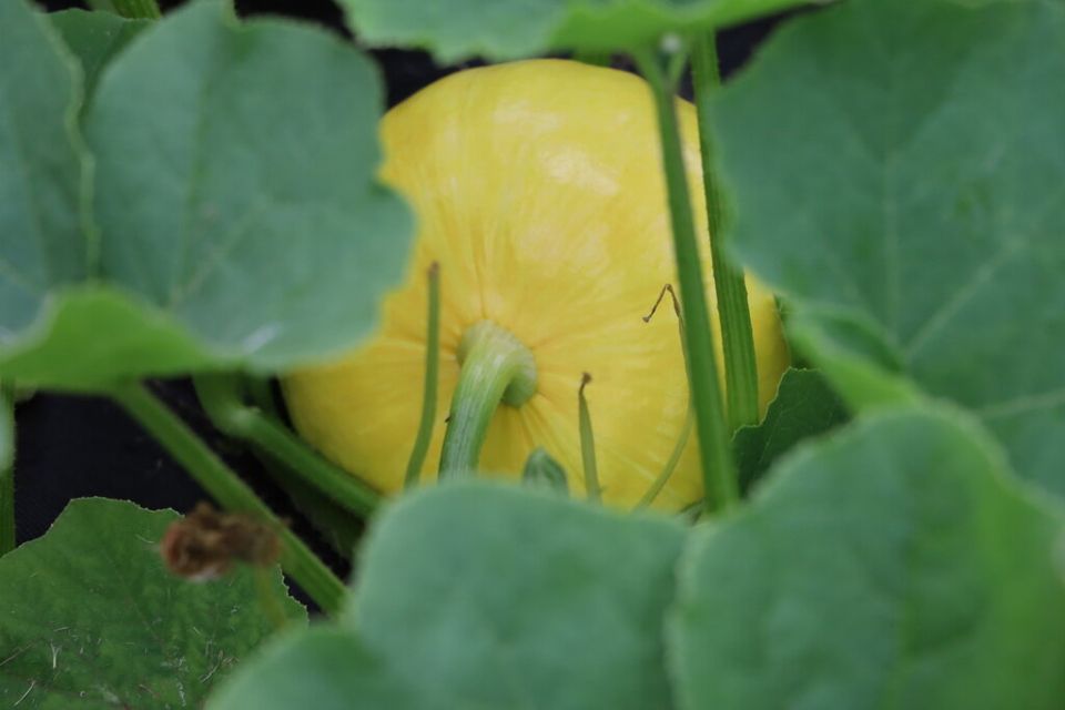 ��� ��������� ������������� ����� ��� �������� ������