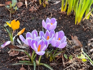 ������� ���������� ����, ������!