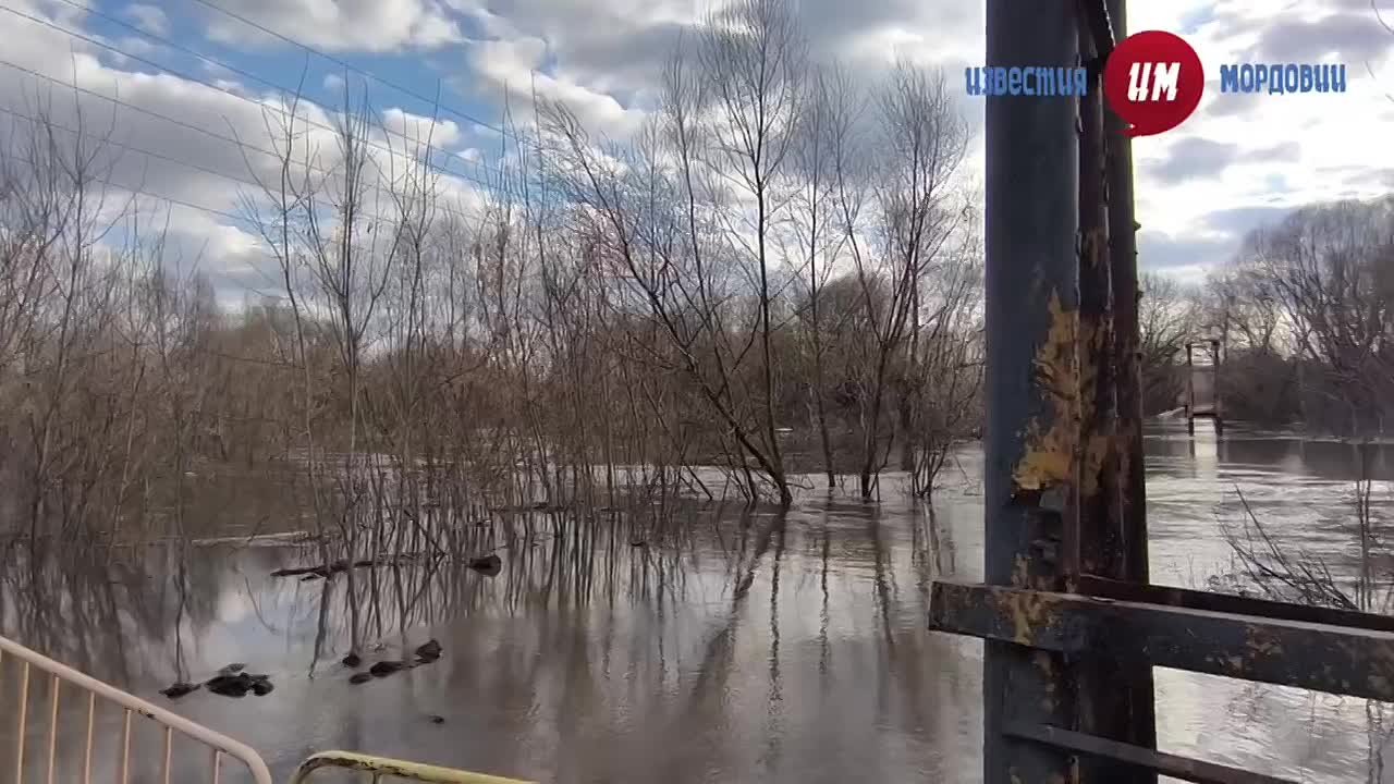 На реке Инсар у Саранска уровень воды достиг отметки 690 см, наблюдается разлив на пойму