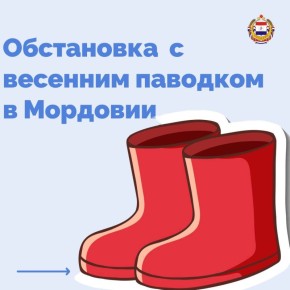 Мордовия против большой воды