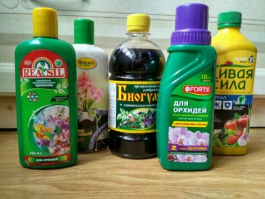 Лучшие удобрения для комнатных растений