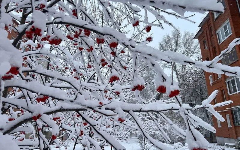 В европейскую Россию возвращается зима