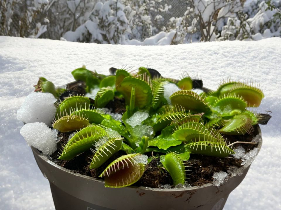 ��� ������� �������� ��������� �� ������ � ������� �� � ����� ������