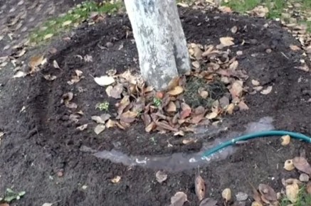 ������� ������ �����: ������ �������� ���������������� ������ ��� ������ ����