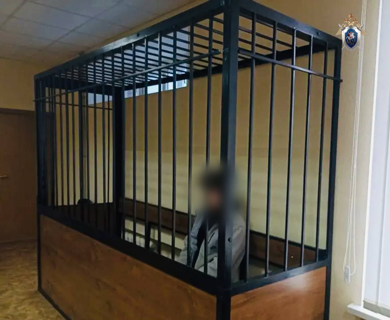 Суд удовлетворил ходатайство следователя СК и избрал подозреваемому в покушении на убийство несовершеннолетней меру пресечения в виде заключения под стражу