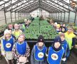 Чудеса тепличные: как в детском саду «Ручеёк» растят любовь к природе