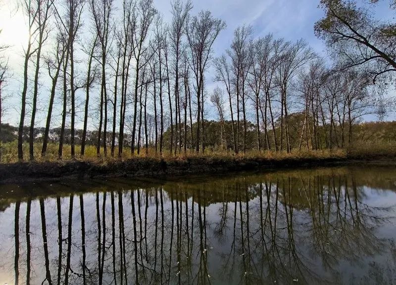 Ботанический сад им. В.Н. Ржавитина уже наполняется цветущей красотой