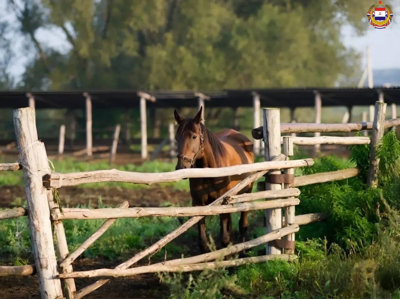 Развиваем туризм Мордовии. Наша республика включена в новый межрегиональный автотуристический маршрут «От нижегородских святынь до саратовских широт» Развиваем туризм Мордовии. Наша республика включена в новый межрегиональный автотуристический маршрут «От нижегородских святынь до саратовских широт»