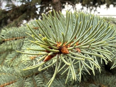 �� ���������� ���� � ������ ����������� ������ �� ����������������� � ����������� ���������� �����: