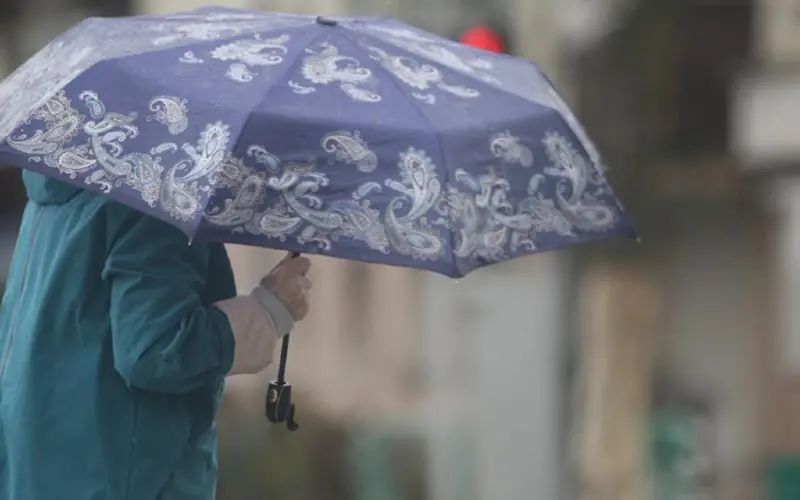 � �������� ����������� ��������� ��������� ������