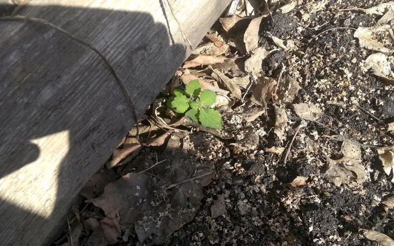 � �������� ������������� ������ ������ ������ ������