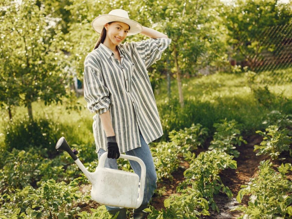 ������� ��� ����������� ��������� �� �������: ��� ������� �� ��� ������