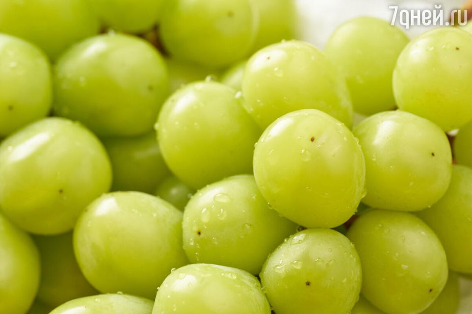 �������� ����� ���������: ������ ��� �������� � ���������� ����