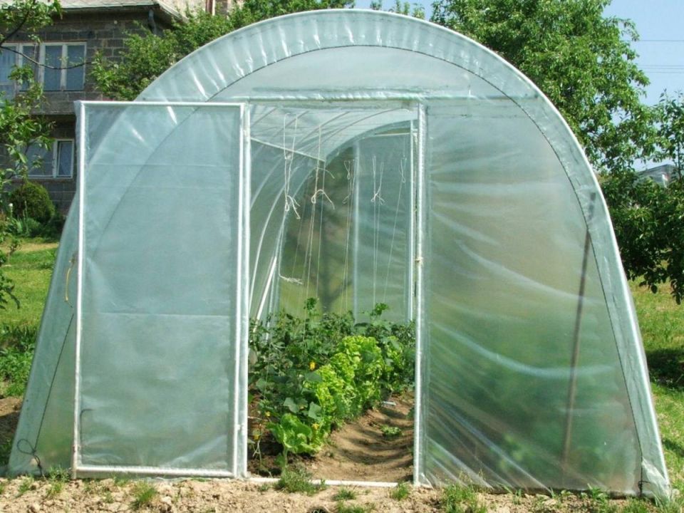 �������� � ������ ��������� �������