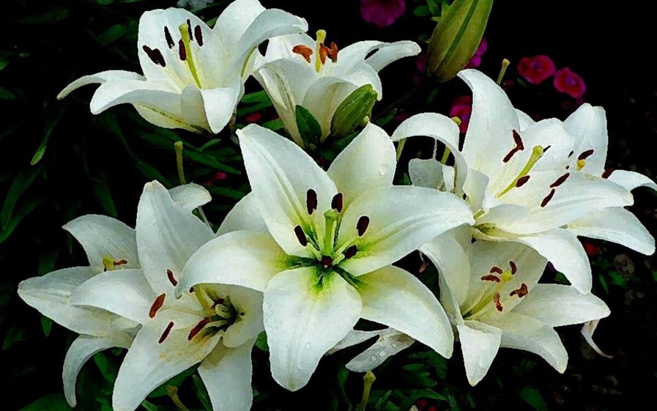 ������ ����� �� �������� � ��������� ������