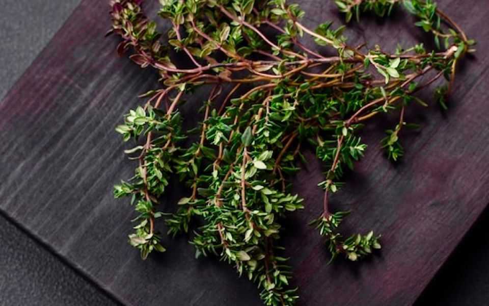 ������: ������ ���������� ���� � ������������ ����� �����