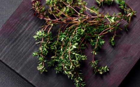 ������: ������ ���������� ���� � ������������ ����� �����