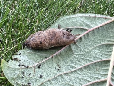 ��� ���������� �� �������: 10 ����������� �������