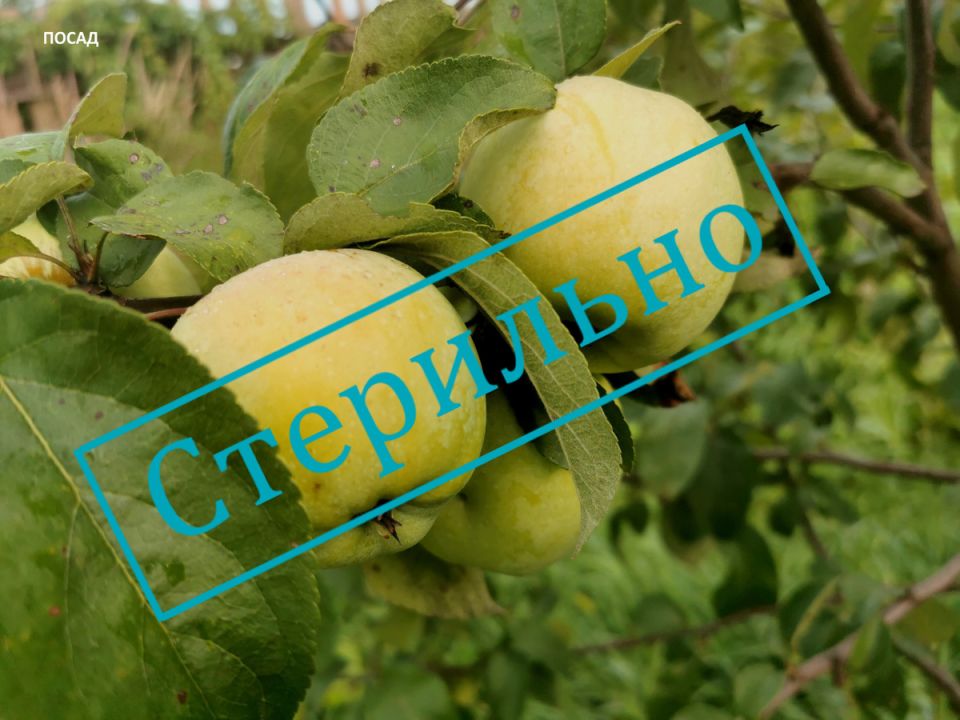 ���������: ���������� ������� ��������� ���� ����� ��������� ������ ������