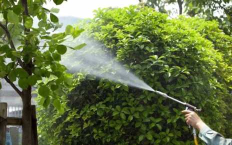 ������ ������ ������� � ����: ��� ����������-� ������ ������ �� ��������