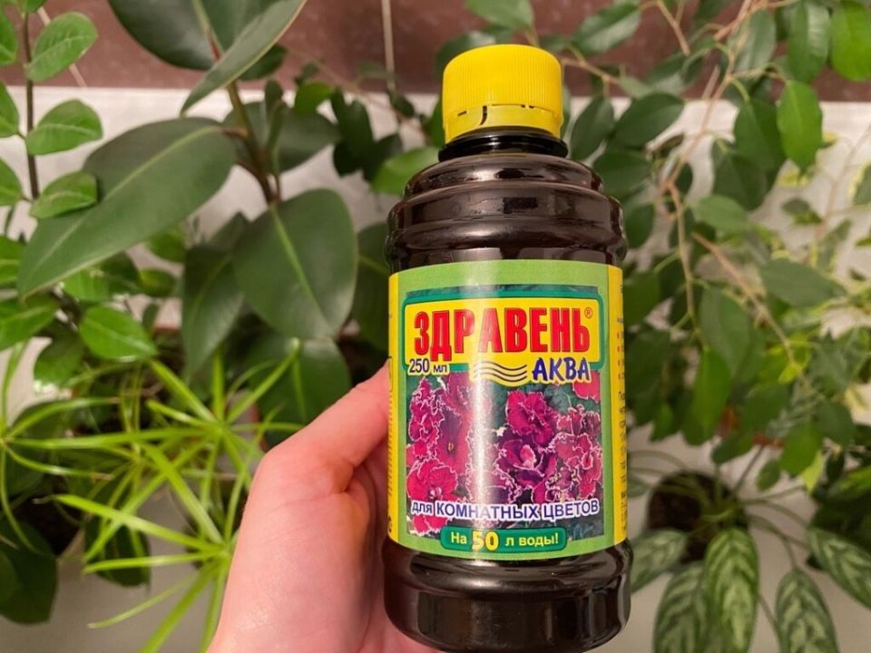 ��������� ��������� ����: ������������� �������� ��� ��������� ��������