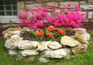 ������� ������ ������: ������� ������ ����� � ������ ��� ������ ����