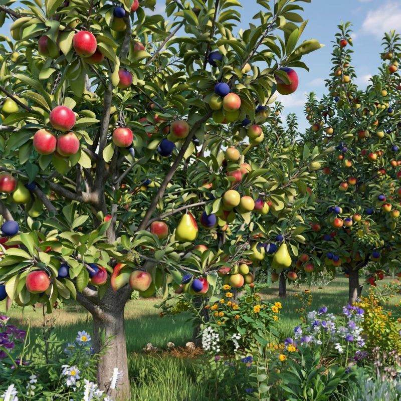 ���������� ������������: ��� �������� �� ����� ��������� ����������� �� �����