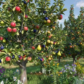 ���������� ������������: ��� �������� �� ����� ��������� ����������� �� �����