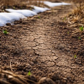 ������ � ����� ����� �������� �����, �� ������ ��������