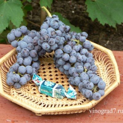 �������� �����: ��������� ���� ��� ��������� ��������� ���������