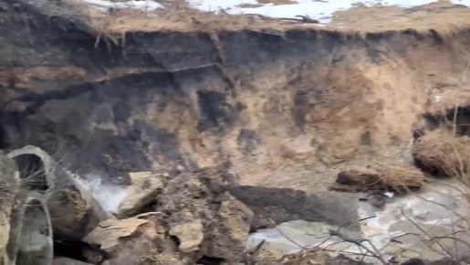 ���� ������: �������� �� ������ � ���� �����������: ����������� ���� �������