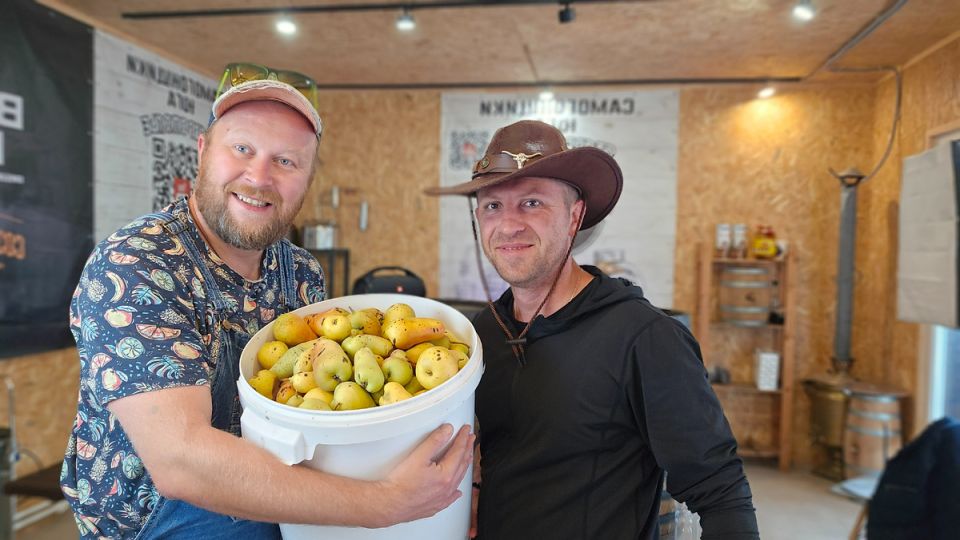 ������ ��������� ��������: ��� ������� ������ �� �����