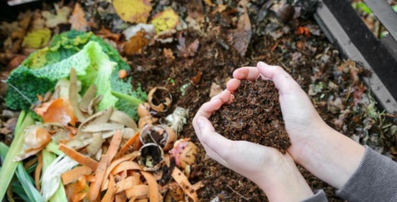 ��� ������� ��������������� ����� ����������� ��� ���