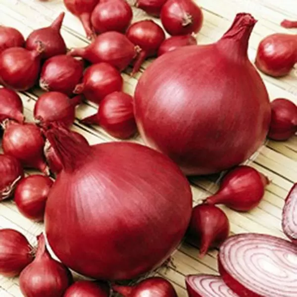 Лук Ред Рей: тёмно-красный герой для свежих салатов и долгого хранения