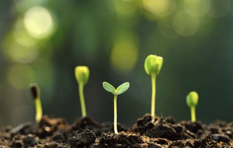 ������ � ����� ��� �������: ����� ����� �������, ����� � ��� �������� ������� ��������