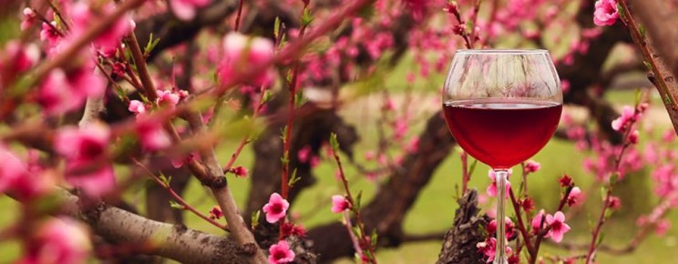 ���� ��� ������� ���������� � �������� ������ ���������