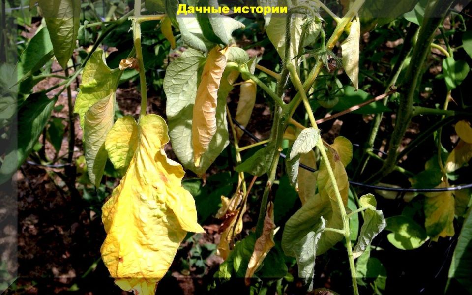 ������ ����� ����������� �� ������ ������� �� ������� � ���������