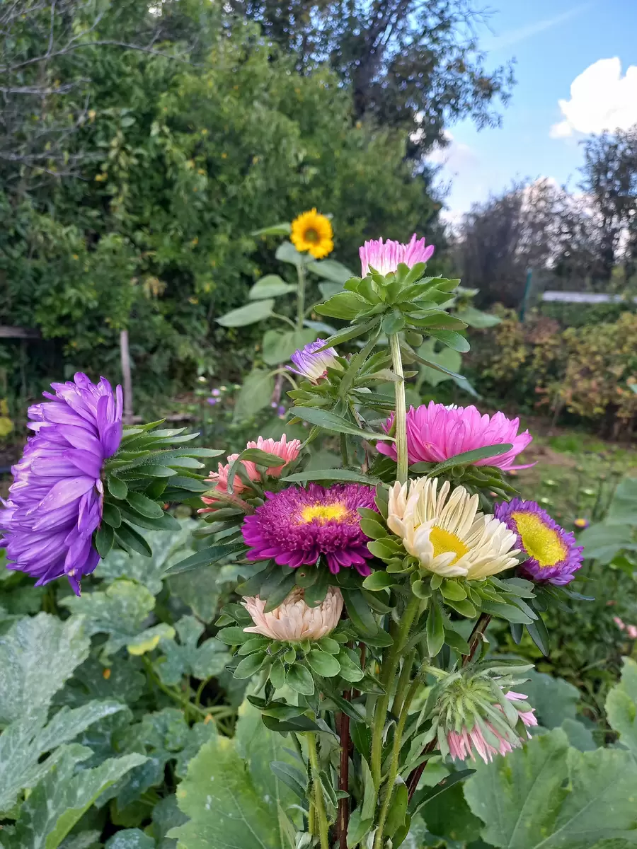 Прокладывая путь к удобству на кухне