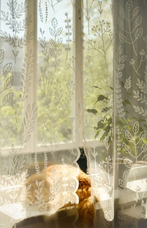 ��� ��������� �������� ������� �� Wildberries � ������� ������ ���