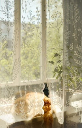 ��� ��������� �������� ������� �� Wildberries � ������� ������ ���