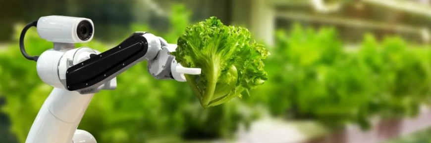 ���������� ��������: ��� ��������� ��������� ����� ���� ������� ���������