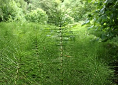 ����������� ��������� ������ � ������ �� ������ �������