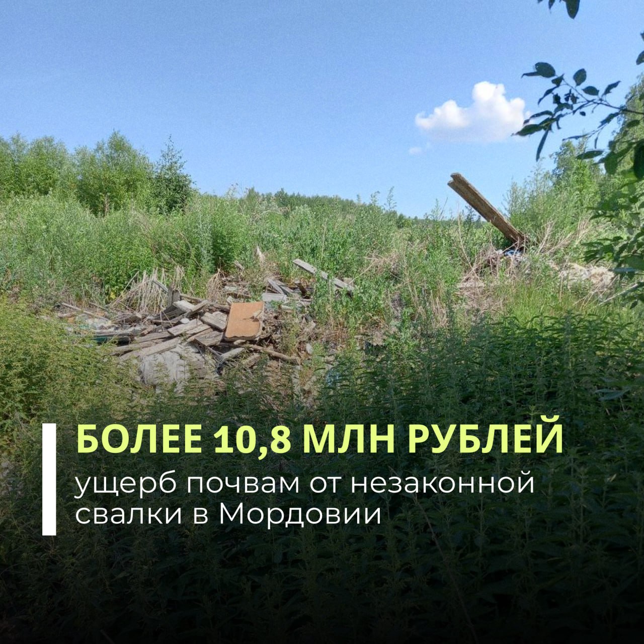 Суд обязал администрацию Большеигнатовского района Республики Мордовия возместить вред, причиненный почвам в результате незаконного размещения отходов