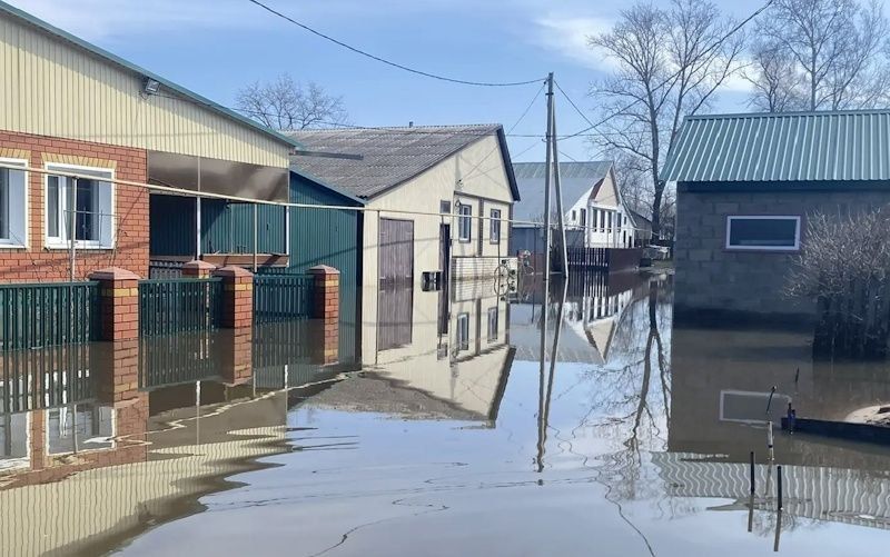 ������ ��������� ������� � ����������� ������� ��������� �� ������ � 2013 ����