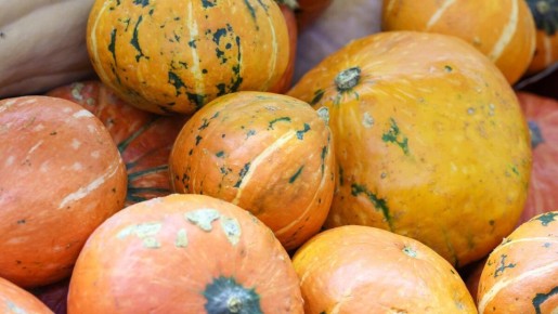 ��������� ����: ��� ������� � ������ ���������� ������� � ��������