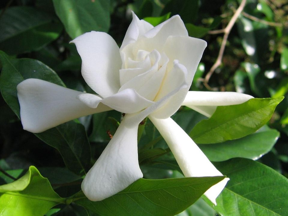 ��������: ��� ��������� ����� ����� ��������� ���������� ��� ��������� ��������