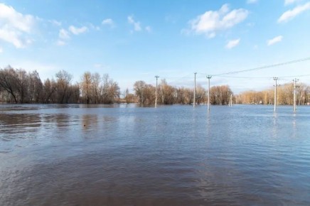 �� ������ ����������� ������ �� ����������������� � �����������, � ���������� ������� ��� �������