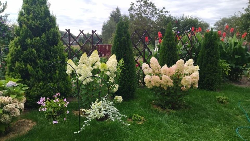 ��� ��������� ������� ��������� � ��������� ������ �� �������